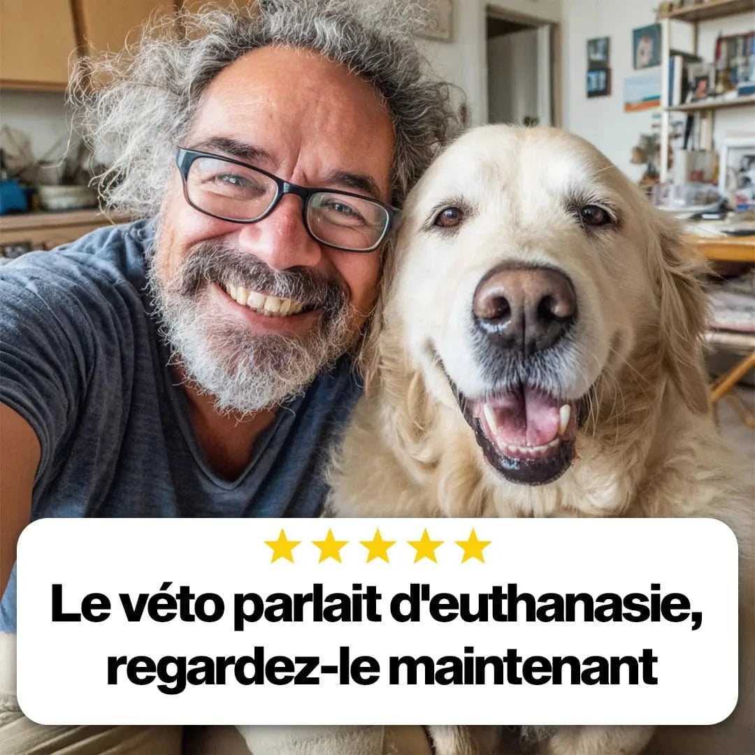La Solution Orthopédique pour Soulager l'Arthrose de Votre Chien
