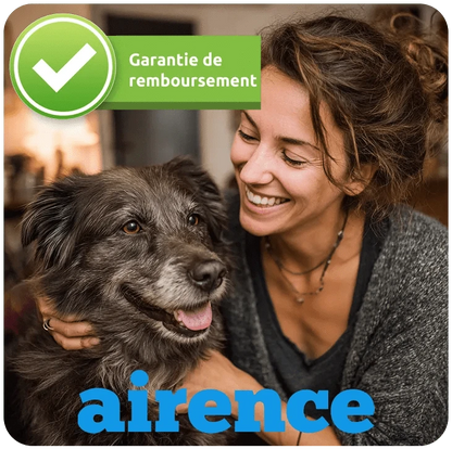 La Solution Orthopédique pour Soulager l'Arthrose de Votre Chien